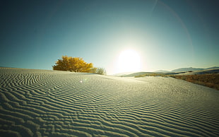 sun rising over the desert