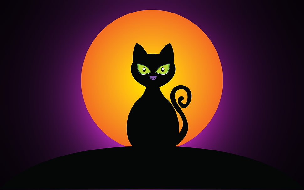 black cat in front of orange ball HD wallpaper