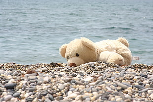 white teddy bear beside seashore at daytime