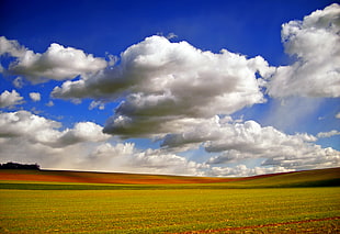 photo of cumulus clouds HD wallpaper