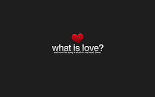 black background with what is love? text overlay HD wallpaper