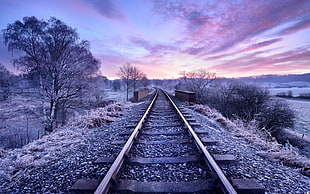 train rails, nature, railway, trees, winter