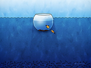 Gold fish inside fish bowl looking at Gold fish on the sea HD wallpaper