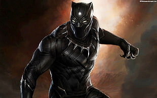 Marvel Black Panther digital wallpaper HD wallpaper
