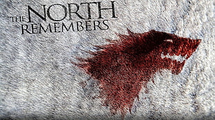 brown and black area rug, Game of Thrones, direwolves HD wallpaper