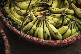 green banana lot, Bananas, Bunch, Fruit HD wallpaper