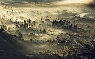 videogame digital wallpaper, nature, landscape, mist, Indonesia HD wallpaper