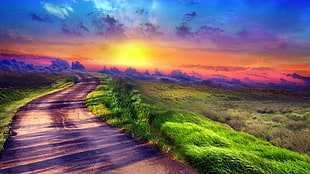 green grass field and road during golden hour HD wallpaper