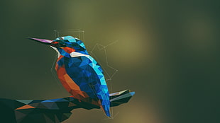 hummingbird illustration HD wallpaper