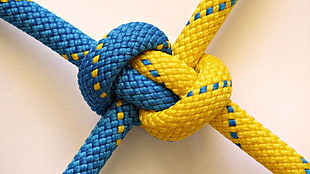 blue and yellow ropes, blue, yellow, knot, ropes HD wallpaper