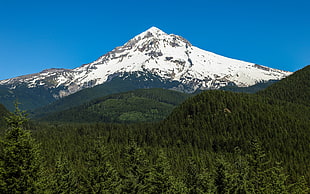 alps mountain, photography, nature, landscape, snowy peak