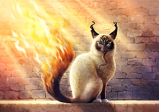brown cat with flaming tail illustration HD wallpaper