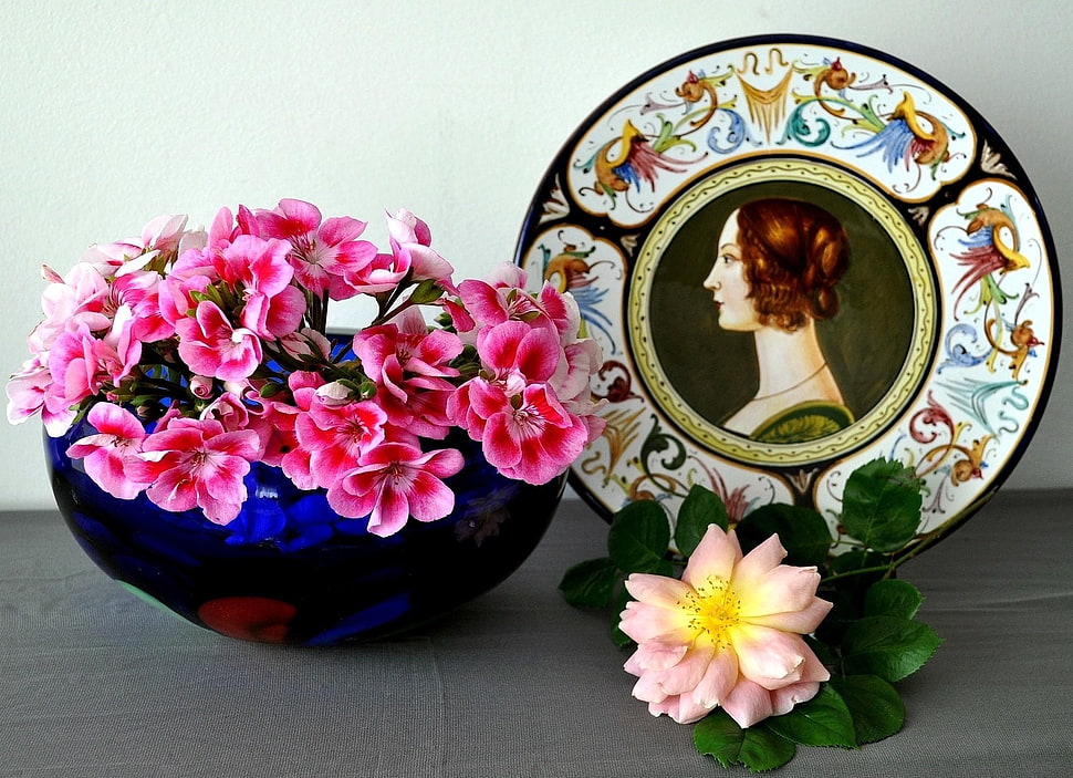 photo of pink petaled flowers in blue glass vase HD wallpaper