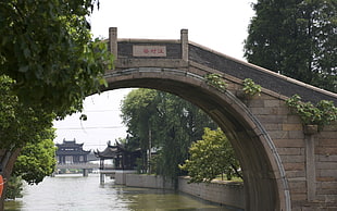 brown arch bridge with trees HD wallpaper