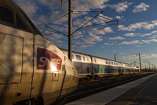 white SNCF train, train station, train, TGV, sunset