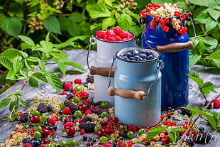 photography of containers filled with berries HD wallpaper