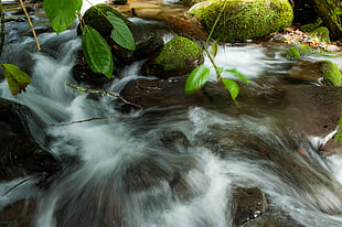 time lapse photo of water on the river flowing