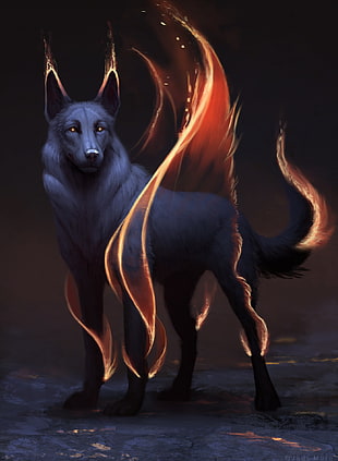 gray wolf with fire 3D wallpaper, concept art, Jade Mere, animals, wolf