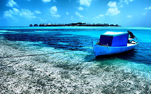 blue and white fishing boat beside the seashore HD wallpaper