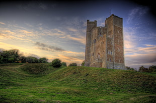 brown concrete building on green grass field, orford castle HD wallpaper