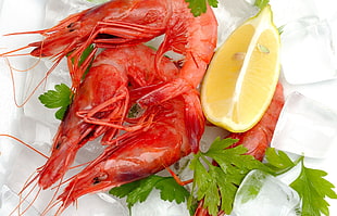 cooked shrimp wit slice lemon HD wallpaper