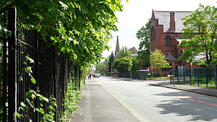 white and green leaf plant, green, trees, church, road