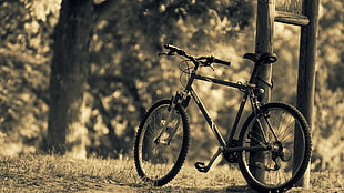 black and gray hardtail mountain bike, bicycle HD wallpaper