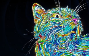 multicolored rat wallpaper