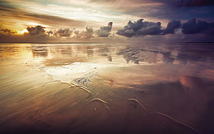 beach during sunset