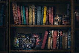 bookshelf filled with books HD wallpaper