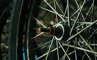 selective focus photography of rusted motorcycle wheel HD wallpaper