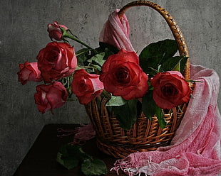 red rose flower on basket HD wallpaper