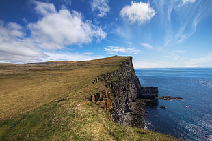 Iceland,  Sea,  Coast,  Cliff