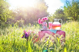 filled glass pitcher beside shot glass on pink ottoman during daytime HD wallpaper