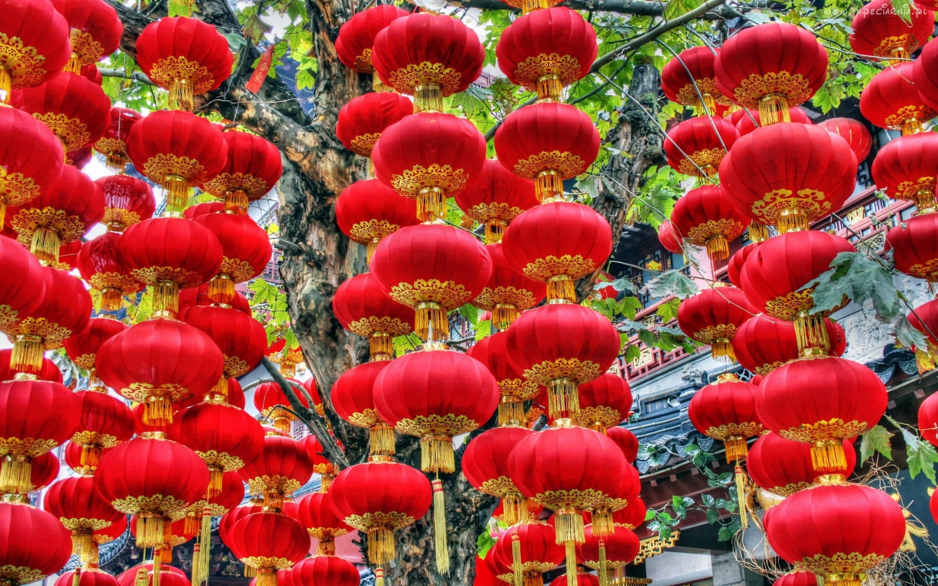 red silk-thread hanging decors