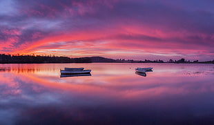 three white boats on body of water in distant of trees during dusk