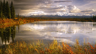 landscape photography of lake