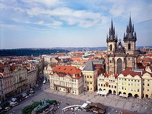 aerial photography of black and white cathedral during daytime