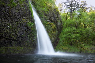 waterfalls near trees, columbia river gorge national scenic area, columbia river, oregon