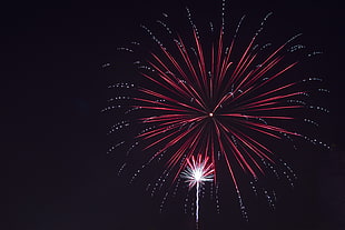 red fireworks during night timne