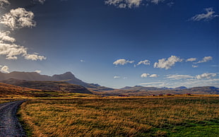 landscape photo of wheat field during daytime