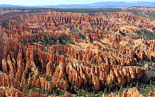 brown and black area rug, canyon, Bryce Canyon National Park, rock formation, Utah HD wallpaper