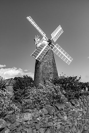 grayscale photography of windmill, oatlands, tasmania