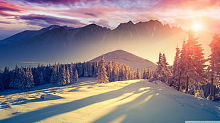 black and gray mountain range during snow season HD wallpaper