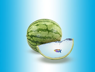 watermelon fruit, fish, water, watermelons, digital art HD wallpaper