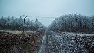 brown field, railway, landscape, trees, cold HD wallpaper