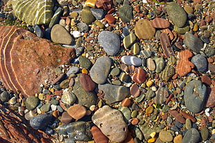 brown and black stone fragments, nature, water