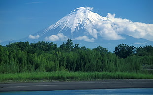 Mt. Fuji