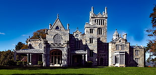 gray and beige castle, castle, Gothic architecture HD wallpaper