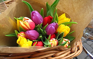 bouquet of tulips HD wallpaper